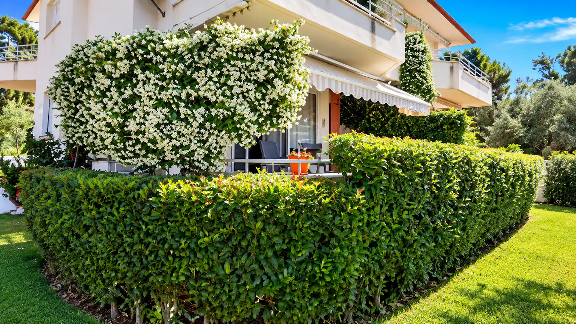 Kleo House garden exterior